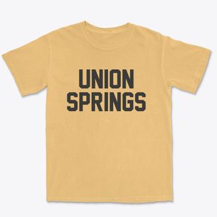 Union Springs New York Classic Block Premium Heavyweight T-shirt