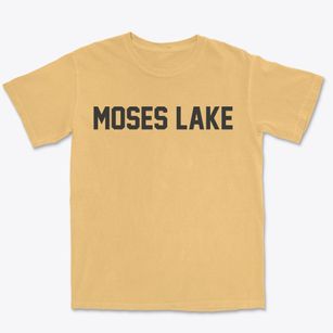 Moses Lake Washington Classic Block Premium Heavyweight T-shirt