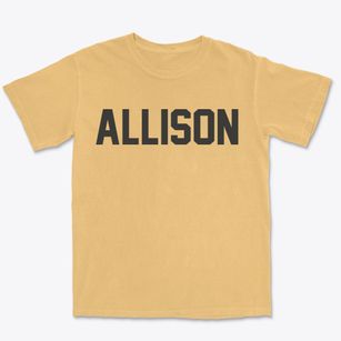 Allison Pennsylvania Classic Block Premium Heavyweight T-shirt