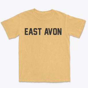 East Avon New York Classic Block Premium Heavyweight T-shirt