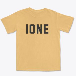 Ione Washington Classic Block Premium Heavyweight T-shirt