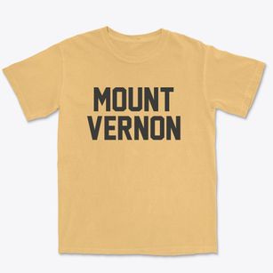 Mount Vernon Illinois Classic Block Premium Heavyweight T-shirt