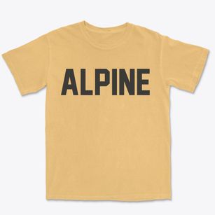 Alpine Oregon Classic Block Premium Heavyweight T-shirt