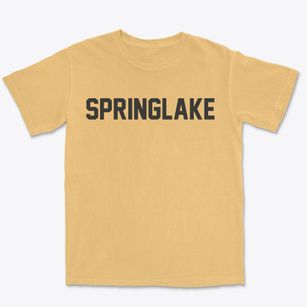 Springlake Texas Classic Block Premium Heavyweight T-shirt