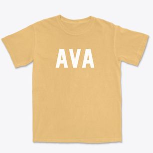Ava Missouri Classic Block Premium Heavyweight T-shirt