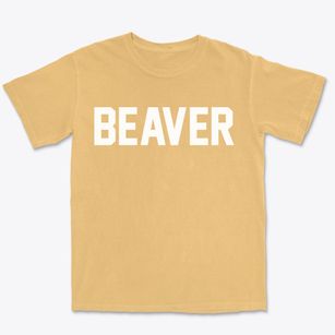 Beaver Ohio Classic Block Premium Heavyweight T-shirt