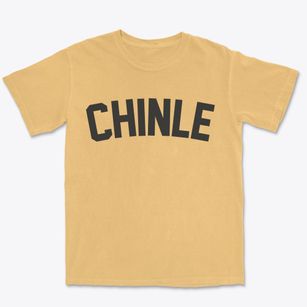 Chinle Arizona Classic Curve Premium Heavyweight T-shirt