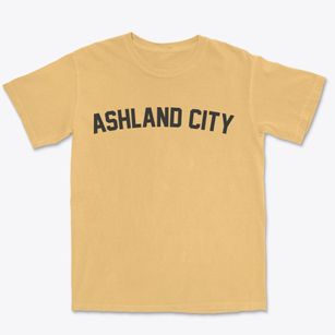 Ashland City Tennessee Classic Curve Premium Heavyweight T-shirt
