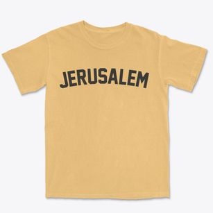 Jerusalem New York Classic Curve Premium Heavyweight T-shirt