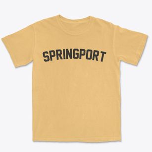 Springport New York Classic Curve Premium Heavyweight T-shirt