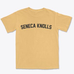 Seneca Knolls New York Classic Curve Premium Heavyweight T-shirt