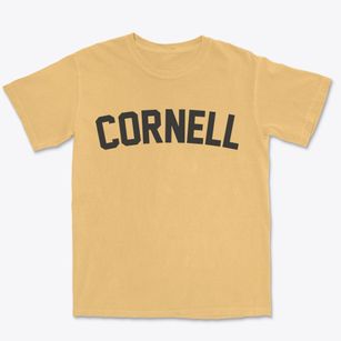 Cornell Wisconsin Classic Curve Premium Heavyweight T-shirt