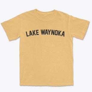 Lake Waynoka Ohio Classic Curve Premium Heavyweight T-shirt