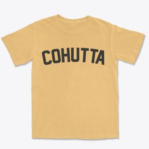 Cohutta Georgia Classic Curve Premium Heavyweight T-shirt