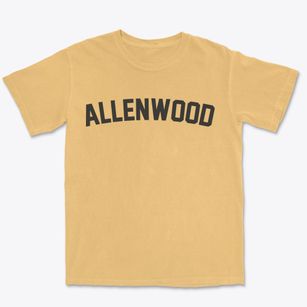 Allenwood Pennsylvania Classic Curve Premium Heavyweight T-shirt