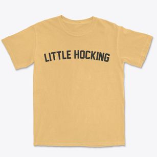 Little Hocking Ohio Classic Curve Premium Heavyweight T-shirt