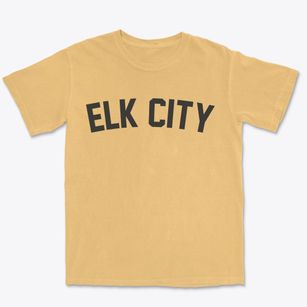 Elk City Kansas Classic Curve Premium Heavyweight T-shirt