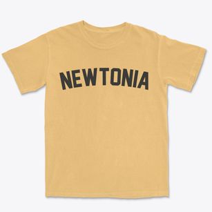 Newtonia Missouri Classic Curve Premium Heavyweight T-shirt