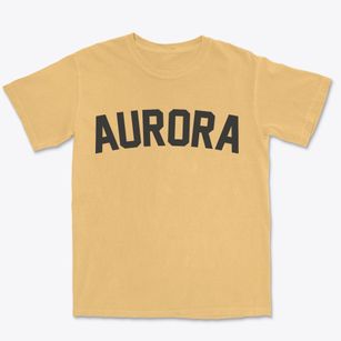 Aurora Kansas Classic Curve Premium Heavyweight T-shirt
