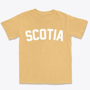Scotia Nebraska Classic Curve Premium Heavyweight T-shirt