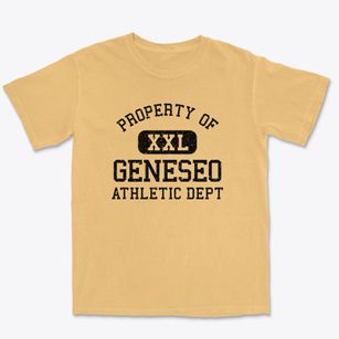 Geneseo Illinois Athletic Dept Premium Heavyweight T-shirt