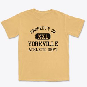 Yorkville Wisconsin Athletic Dept Premium Heavyweight T-shirt