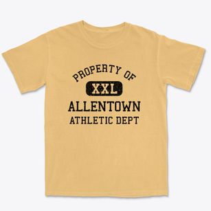 Allentown New Jersey Athletic Dept Premium Heavyweight T-shirt