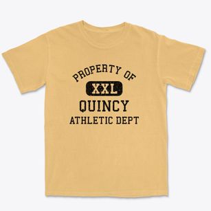 Quincy Wisconsin Athletic Dept Premium Heavyweight T-shirt