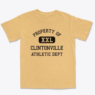 Clintonville Pennsylvania Athletic Dept Premium Heavyweight T-shirt