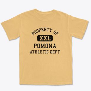 Pomona Missouri Athletic Dept Premium Heavyweight T-shirt