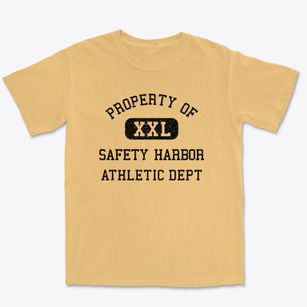 Safety Harbor Florida Athletic Dept Premium Heavyweight T-shirt