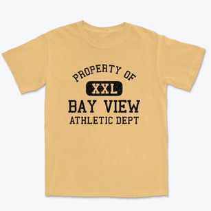 Bay View Michigan Athletic Dept Premium Heavyweight T-shirt