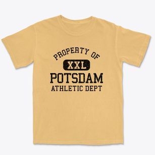 Potsdam New York Athletic Dept Premium Heavyweight T-shirt