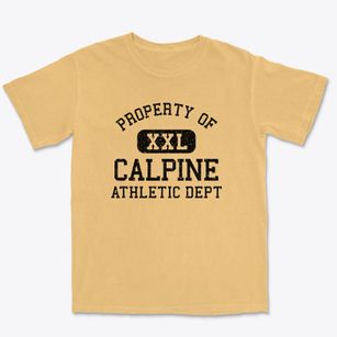 Calpine California Athletic Dept Premium Heavyweight T-shirt