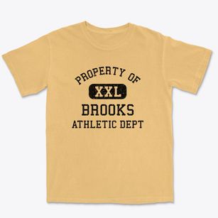 Brooks Minnesota Athletic Dept Premium Heavyweight T-shirt