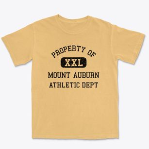 Mount Auburn Indiana Athletic Dept Premium Heavyweight T-shirt