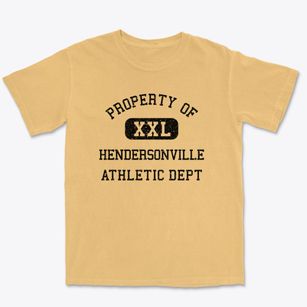 Hendersonville North Carolina Athletic Dept Premium Heavyweight T-shirt