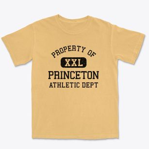 Princeton Illinois Athletic Dept Premium Heavyweight T-shirt