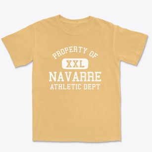 Navarre Florida Athletic Dept Premium Heavyweight T-shirt