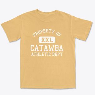 Catawba North Carolina Athletic Dept Premium Heavyweight T-shirt