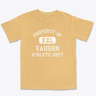 Vaughn Washington Athletic Dept Premium Heavyweight T-shirt