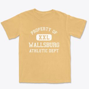 Wallsburg Utah Athletic Dept Premium Heavyweight T-shirt