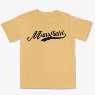 Mansfield Pennsylvania Vintage Team Premium Heavyweight T-shirt
