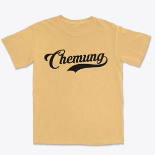 Chemung New York Vintage Team Premium Heavyweight T-shirt