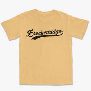 Breckenridge Michigan Vintage Team Premium Heavyweight T-shirt