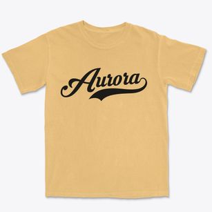Aurora Wisconsin Vintage Team Premium Heavyweight T-shirt
