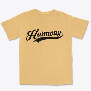 Harmony Rhode Island Vintage Team Premium Heavyweight T-shirt