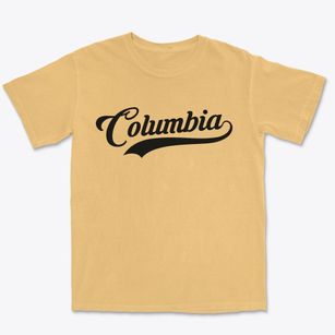 Columbia North Carolina Vintage Team Premium Heavyweight T-shirt