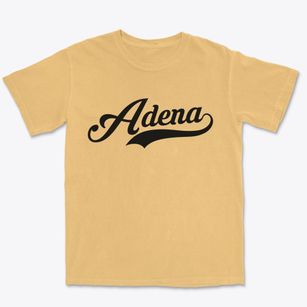Adena Ohio Vintage Team Premium Heavyweight T-shirt