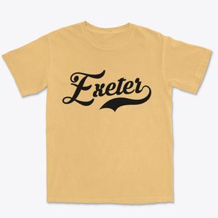 Exeter New Hampshire Vintage Team Premium Heavyweight T-shirt